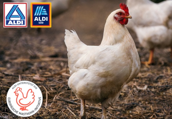 ALDI wirbt für Unterstützung der Europäischen Masthuhn-Initiative