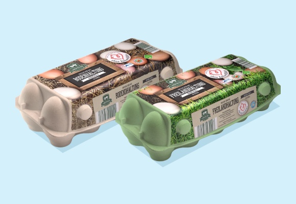 Erste ALDI SÜD Region bietet ausschließlich Eier „ohne Kükentöten“ an