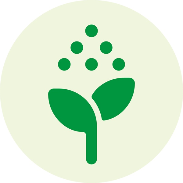 Grafik einer Pflanze unter Regentropfen.