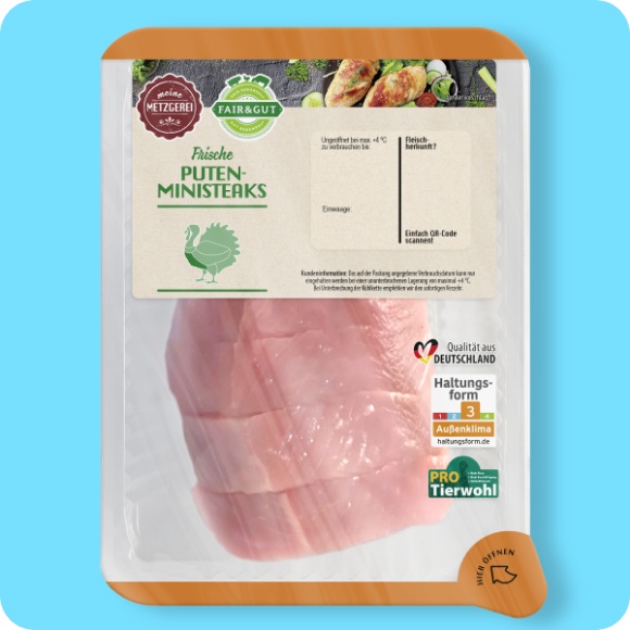 Puten-Ministeaks