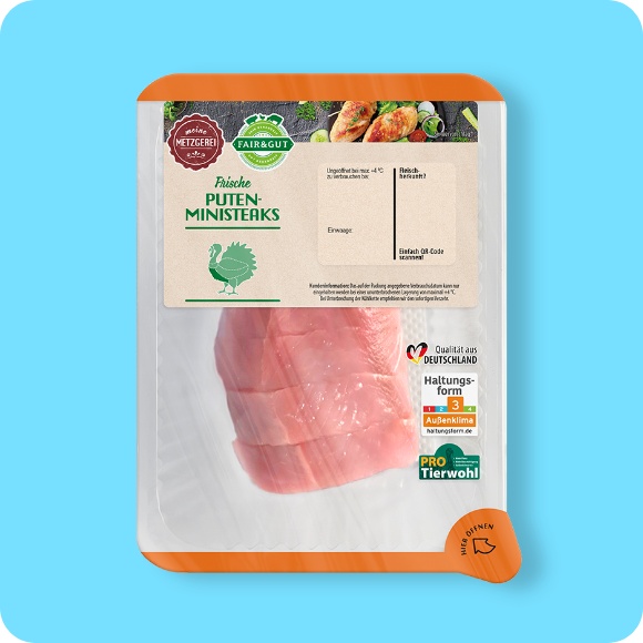 Puten-Ministeaks