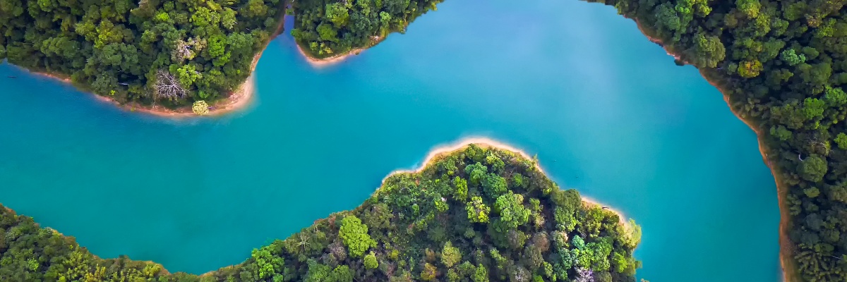 Türkiser Fluss im Regenwald.