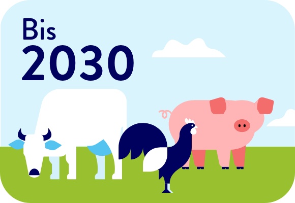 Kuh, Schwein und Huhn auf einem Feld.