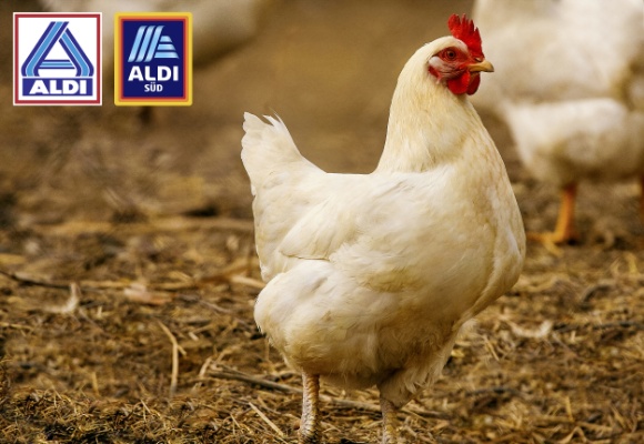Erste Hähnchenprodukte bei ALDI erfüllen die Kriterien der Europäischen Masthuhn-Initiative