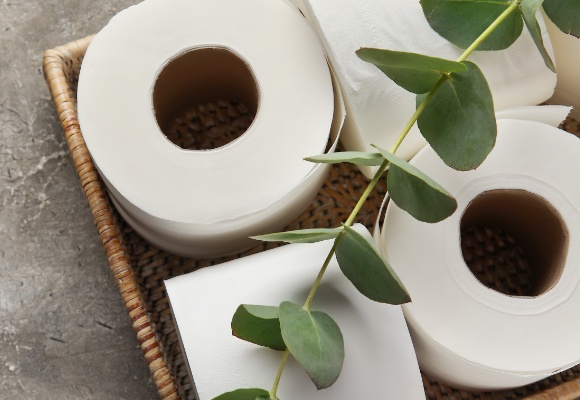 Toilettenpapier & Küchenrolle