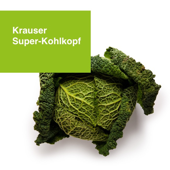 Wirsingkohl Low Carb Vitaminreich Gesund Aldi Sud