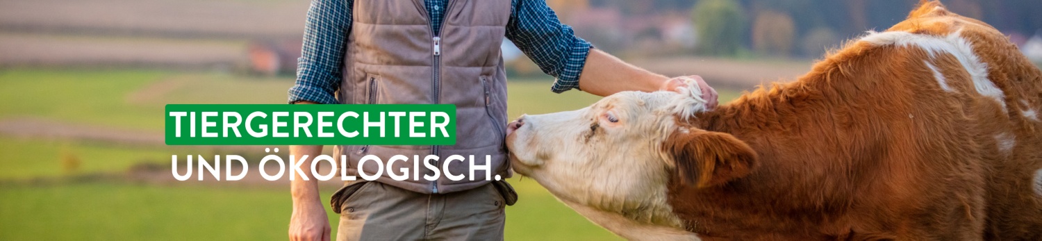 Ein Rind schnuppert an der Jacke eines Landwirtes, im Hintergund sind Wiesen und Felder.