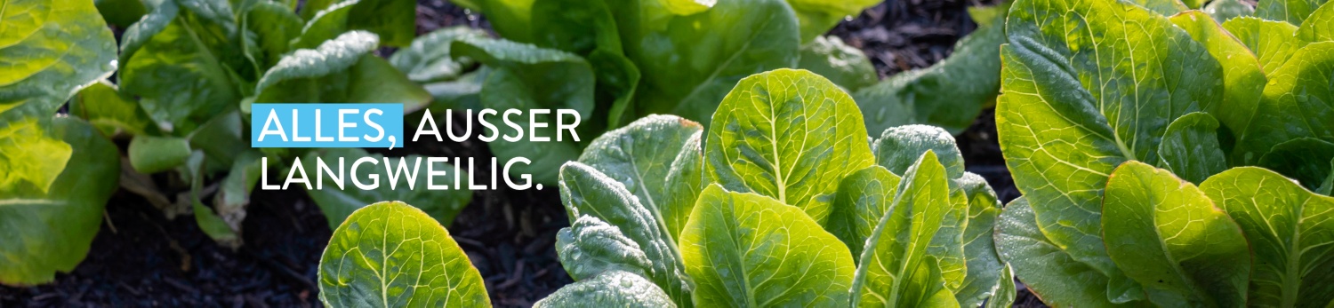 Salat frisch, knackig, kalorienarm ALDI SÜD