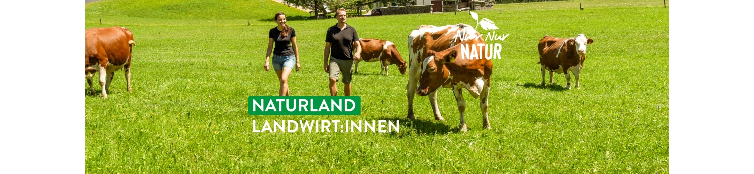 Herr und Frau Kronreif zwischen den Kühen auf der Weide.