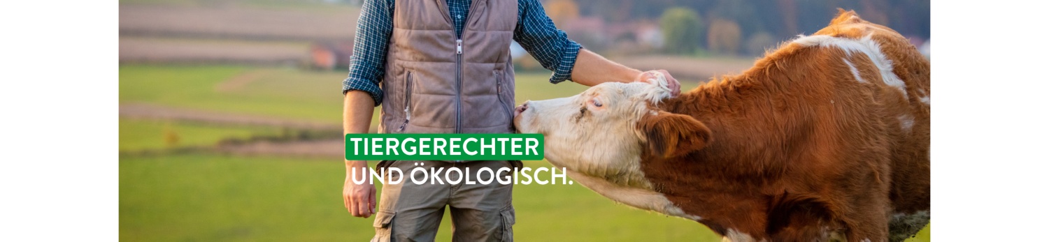 Ein Rind schnuppert an der Jacke eines Landwirtes, im Hintergund sind Wiesen und Felder.