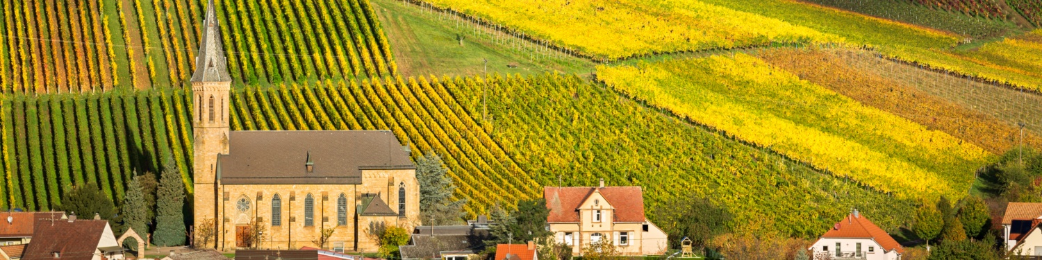 Kirche inmitten malerischer Weinberge im Herbst, gelb und grün gefärbt, mit Dorfhäusern im Vordergrund.