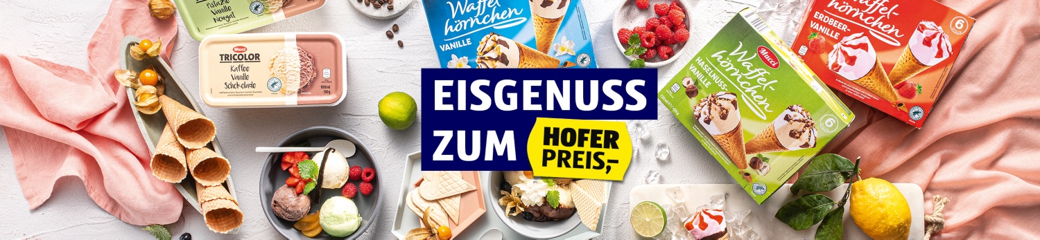 Verschiedene Eisprodukte und Zutaten auf Tisch: Waffelhörnchen, Eiscreme, Beeren, Zitrusfrüchte, Schokolade. Text: „EISGENUSS ZUM HOFER PREIS,-“
