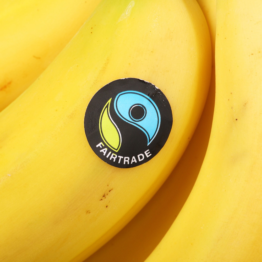 Certificazione etica