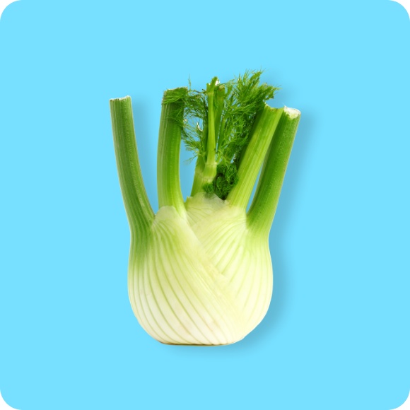 Fenchel