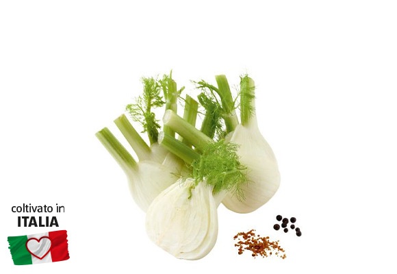 I COLORI DEL SAPORE Finocchi