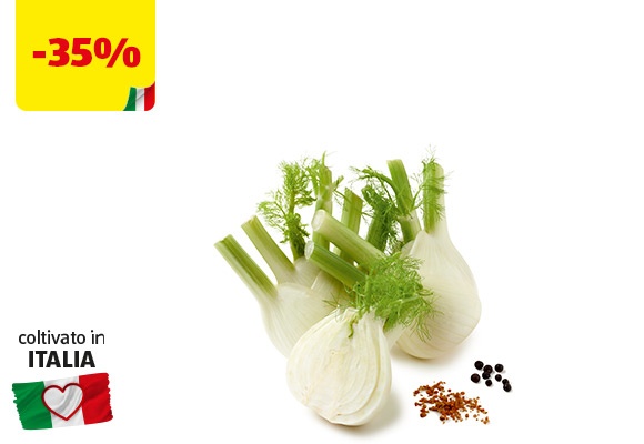 I COLORI DEL SAPORE Finocchi