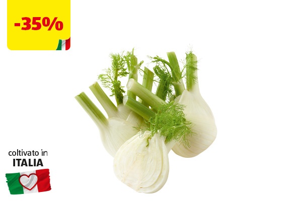 I COLORI DEL SAPORE Finocchi