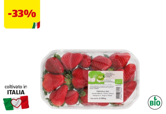 BIO Fragole BIO 300 g