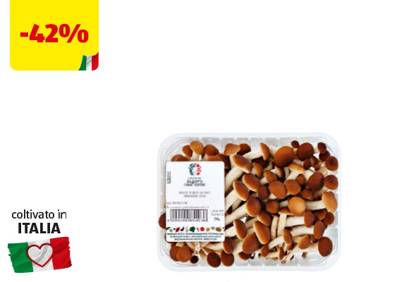 I COLORI DEL SAPORE Funghi Pioppini 250 g