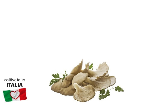 I COLORI DEL SAPORE Funghi Pleurotus 400 g
