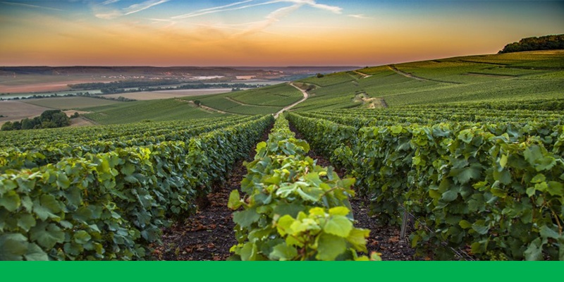 CLIMA, AGRICOLTURA E PRODOTTI SOTENIBILI