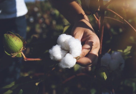 Standard sociali nella produzione