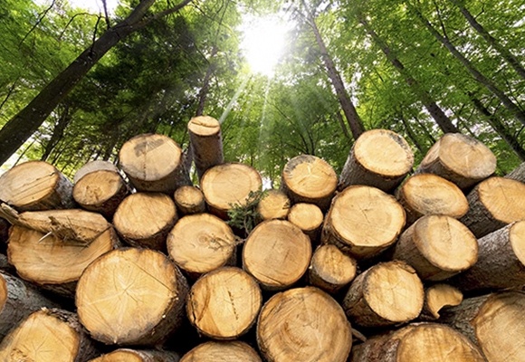 Standard sociali nella produzione