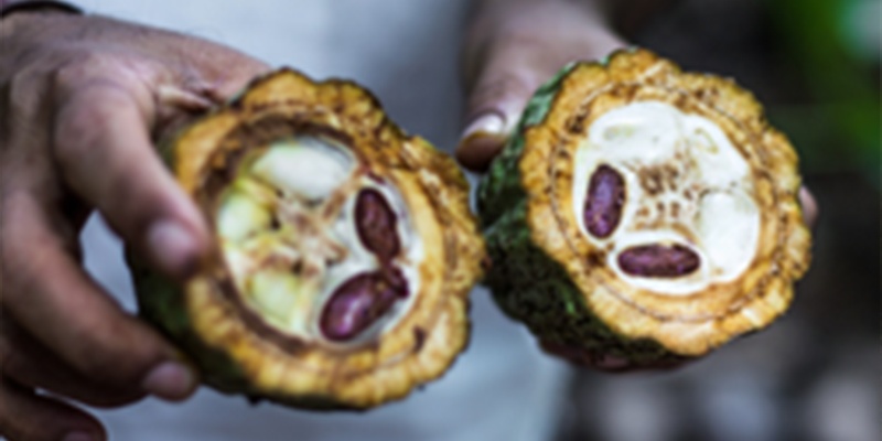 PRODOTTI SOSTENIBILI