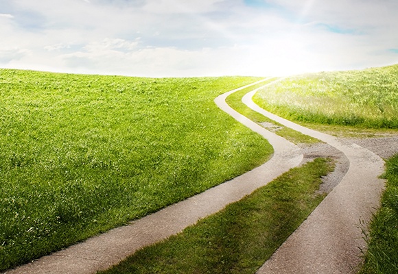 COSA C’È DI NUOVO