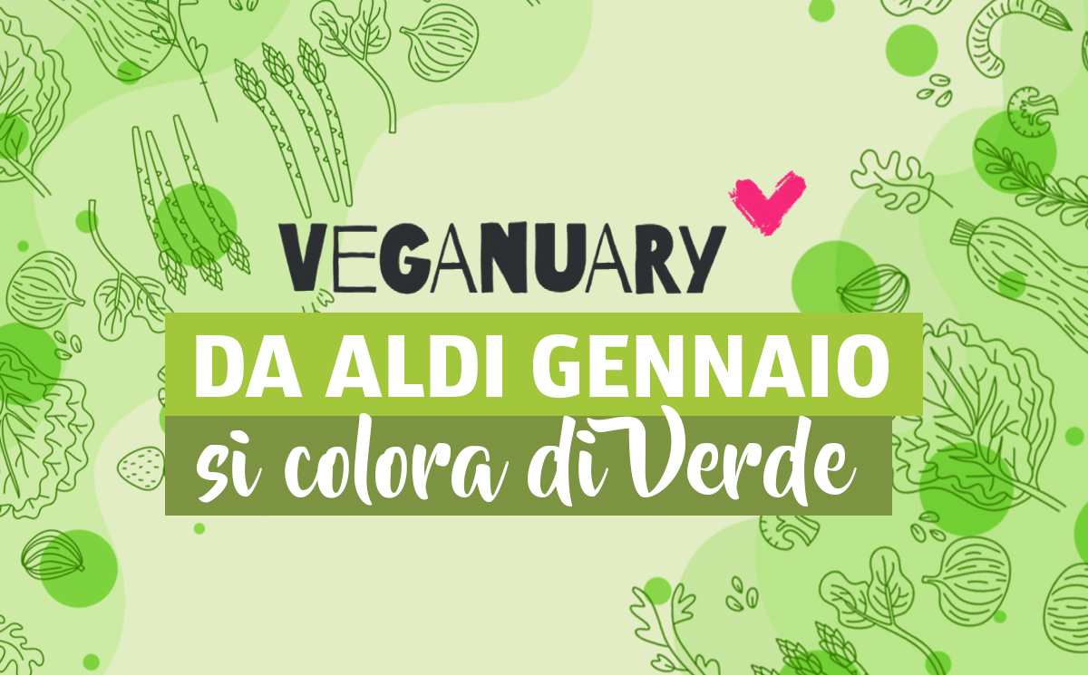 CookBook ALDI: abbinamenti cibo-vino perfetti