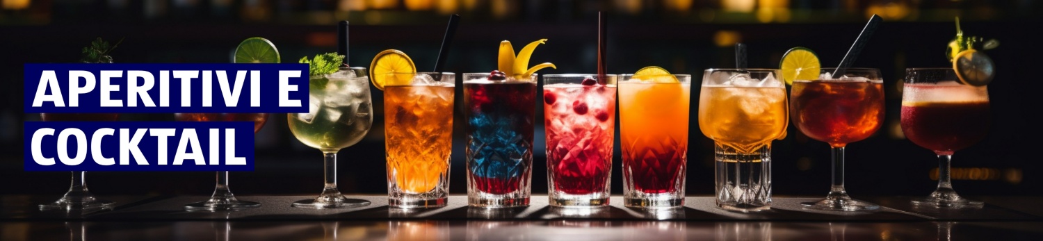 Alkoholsortiment – Aperitifs & Mixgetränke