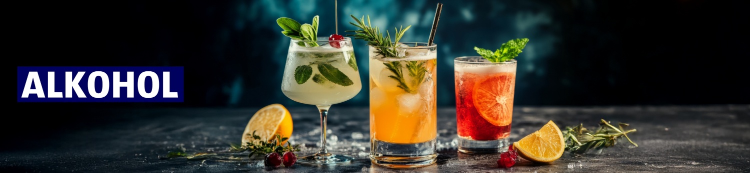 Alkoholsortiment Landingpage 2025