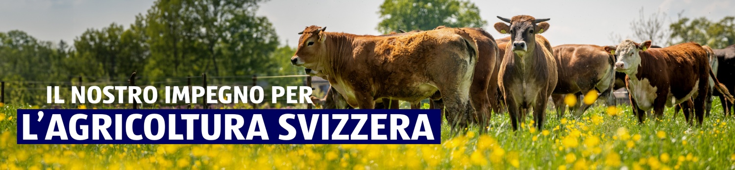 ALDI SUISSE – Impegno nell’agricoltura