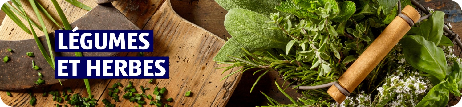 ALDI SUISSE – Légumes et herbes