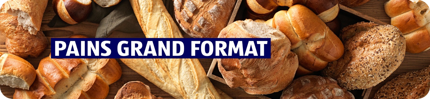 Pains complets – Landingpage