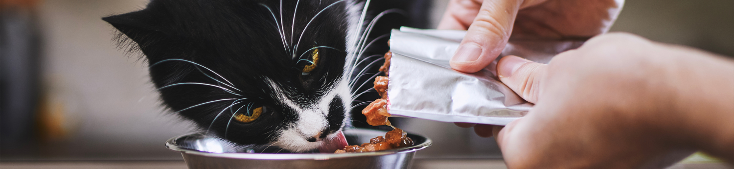 Bocconcini per gatti Cachet