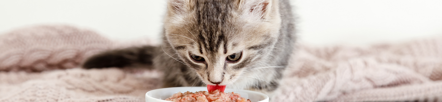 Bocconcini in lattina per gatti Cachet