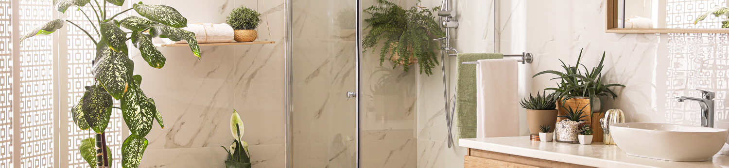 Candeggina Mousse Tandil