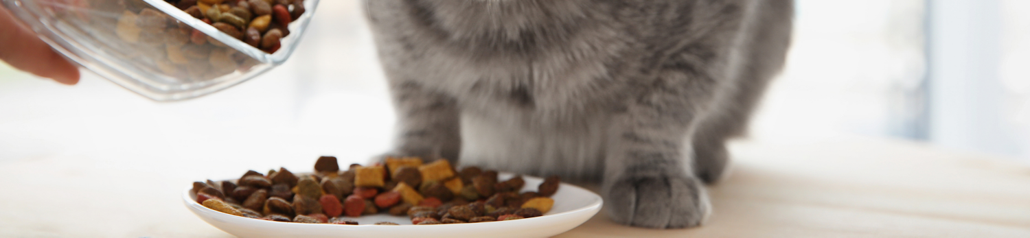 Croccantini per gatti Shah