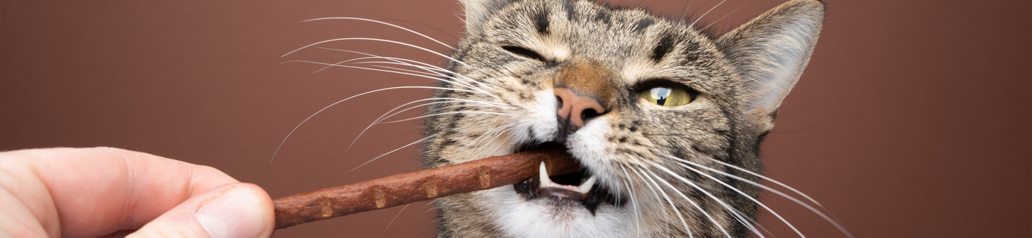 Snack per gatti Shah