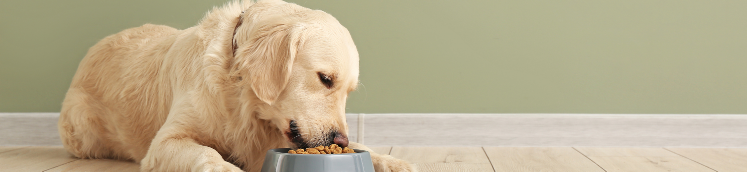 Crocchette per cani Romeo
