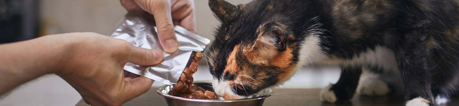 Snack ripieni per gatti Cachet