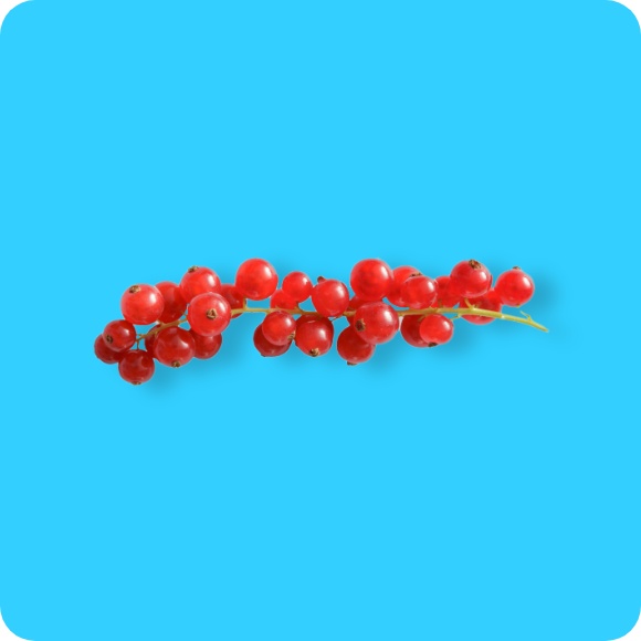 Johannisbeeren, rot