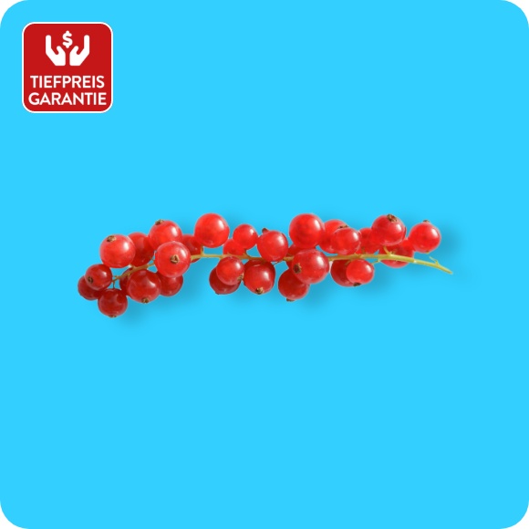 Johannisbeeren, rot