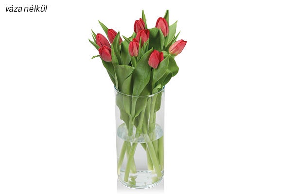 Tulipáncsokor, 9 szál/csokor