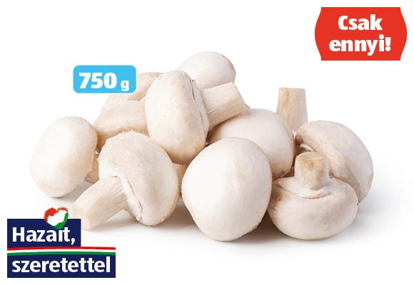 XXL gomba, 750 g/doboz