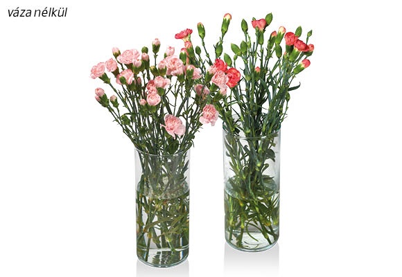 Miniszegfűcsokor, 10 szál/csokor