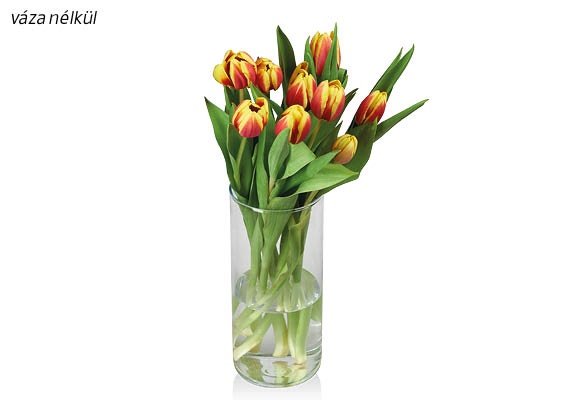 Tulipáncsokor, 9 szál/csokor