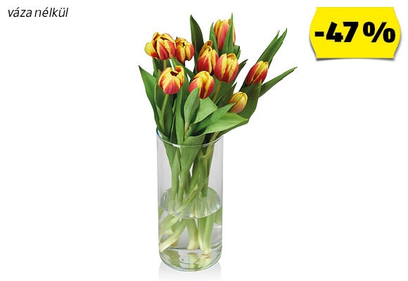 Tulipáncsokor, 9 szál/csokor