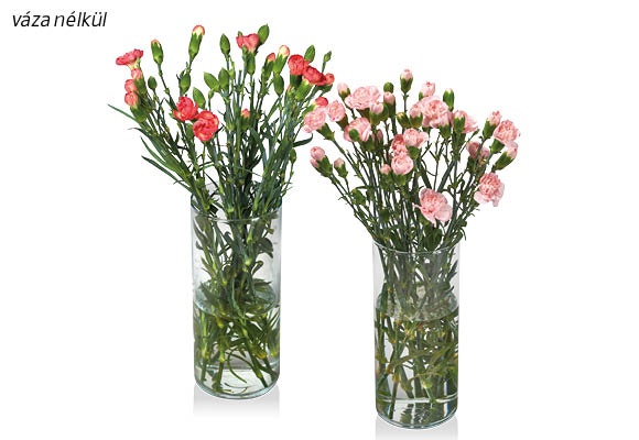 Miniszegfűcsokor, 10 szál/csokor